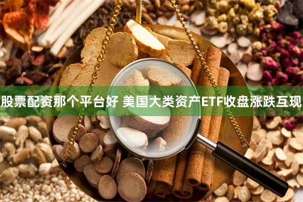 股票配资那个平台好 美国大类资产ETF收盘涨跌互现