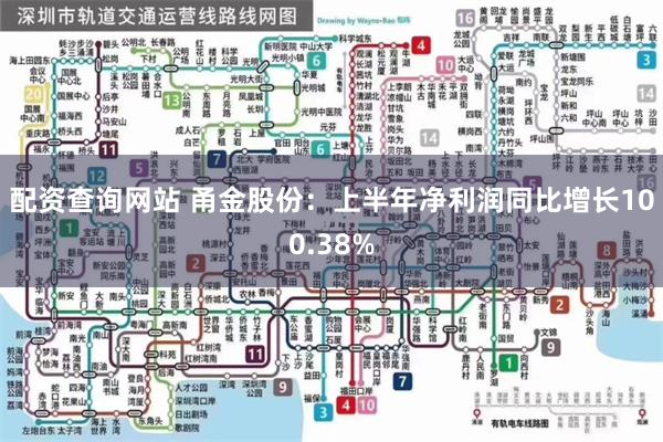 配资查询网站 甬金股份：上半年净利润同比增长100.38%