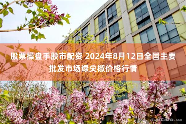 股票操盘手股市配资 2024年8月12日全国主要批发市场绿尖椒价格行情