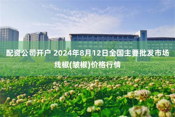 配资公司开户 2024年8月12日全国主要批发市场线椒(皱椒)价格行情