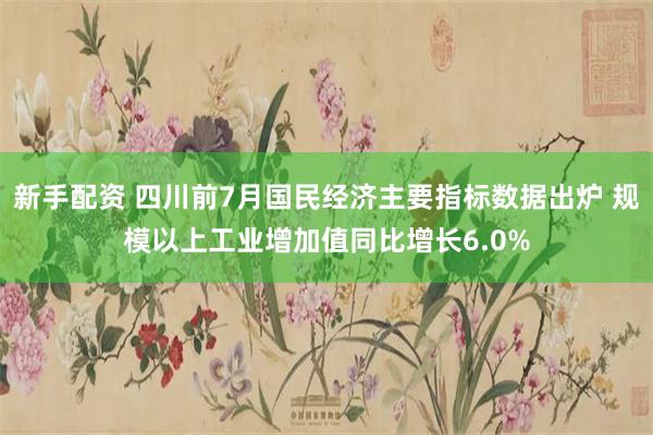 新手配资 四川前7月国民经济主要指标数据出炉 规模以上工业增加值同比增长6.0%