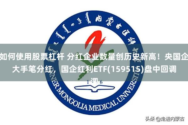 如何使用股票杠杆 分红企业数量创历史新高！央国企大手笔分红，国企红利ETF(159515)盘中回调