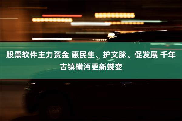 股票软件主力资金 惠民生、护文脉、促发展 千年古镇横沔更新蝶变