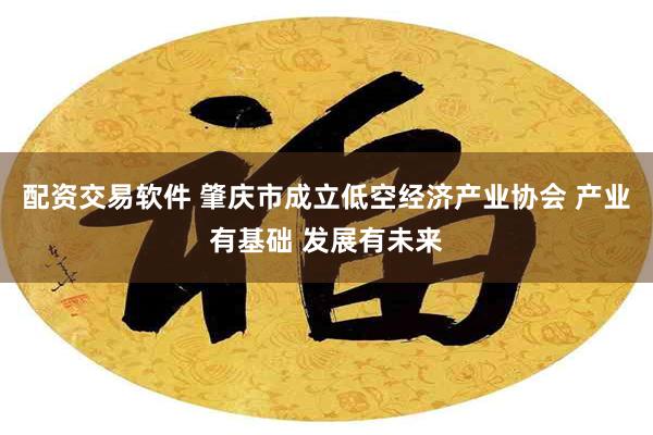 配资交易软件 肇庆市成立低空经济产业协会 产业有基础 发展有未来