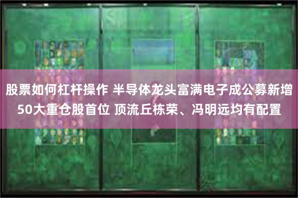 股票如何杠杆操作 半导体龙头富满电子成公募新增50大重仓股首位 顶流丘栋荣、冯明远均有配置