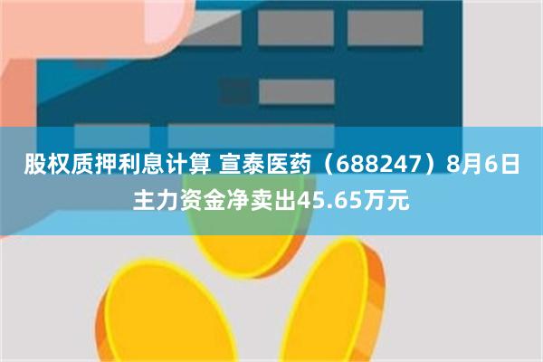 股权质押利息计算 宣泰医药（688247）8月6日主力资金净卖出45.65万元