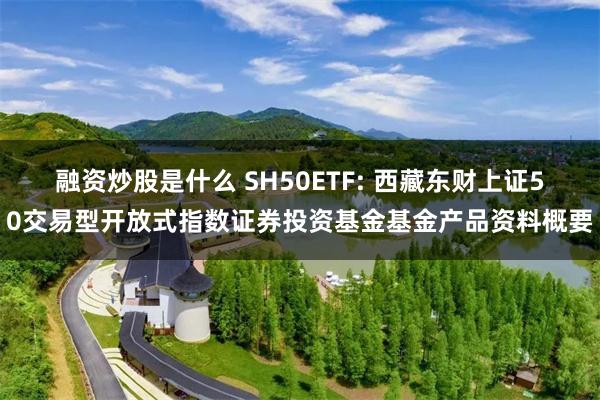 融资炒股是什么 SH50ETF: 西藏东财上证50交易型开放式指数证券投资基金基金产品资料概要