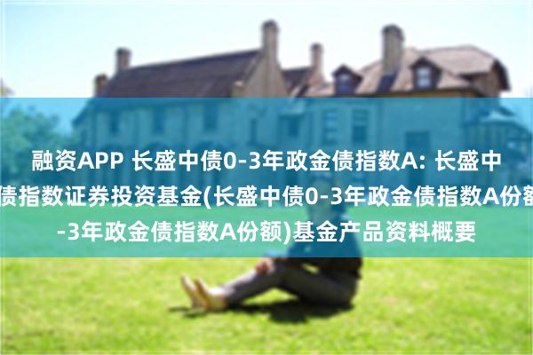 融资APP 长盛中债0-3年政金债指数A: 长盛中债0-3年政策性金融债指数证券投资基金(长盛中债0-3年政金债指数A份额)基金产品资料概要