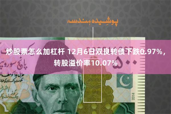 炒股票怎么加杠杆 12月6日双良转债下跌0.97%，转股溢价率10.07%