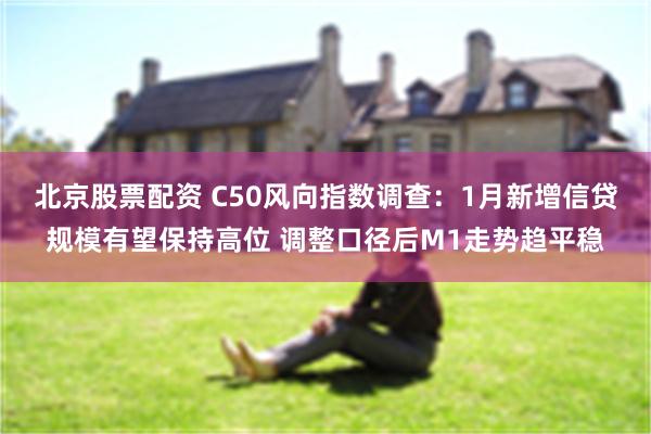 北京股票配资 C50风向指数调查：1月新增信贷规模有望保持高位 调整口径后M1走势趋平稳