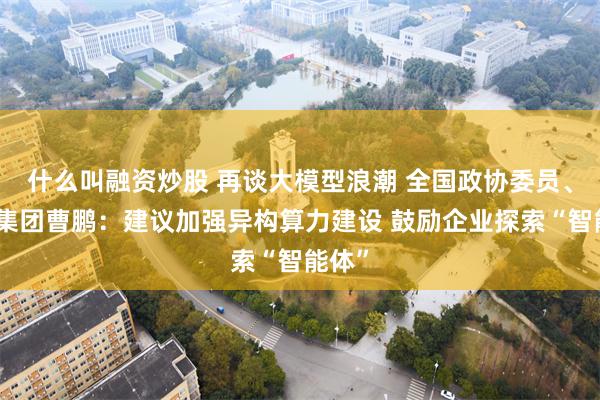 什么叫融资炒股 再谈大模型浪潮 全国政协委员、京东集团曹鹏：建议加强异构算力建设 鼓励企业探索“智能体”